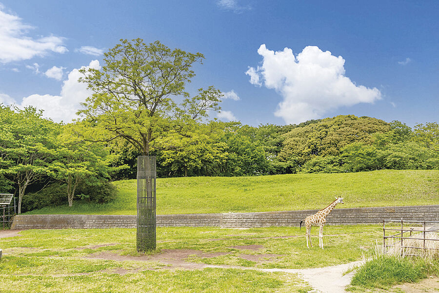 【千葉市動物公園まで5290m】