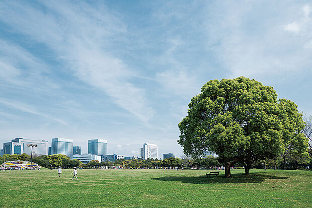 千葉県立幕張海浜公園（現地より徒歩75分）