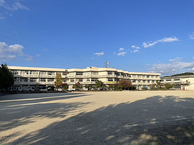 石山小学校(約560m)