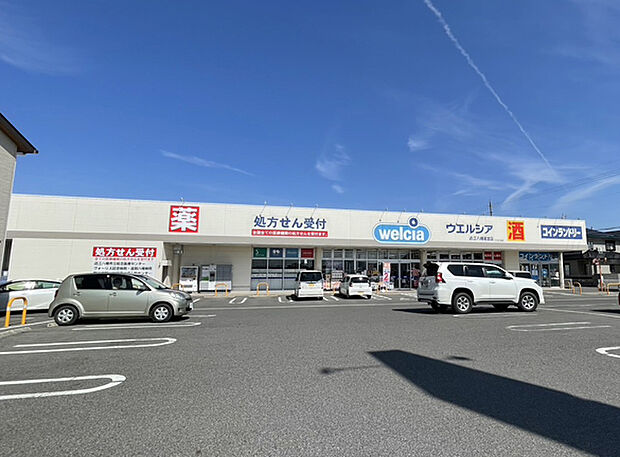 ウエルシア近江八幡若宮店（約240m）