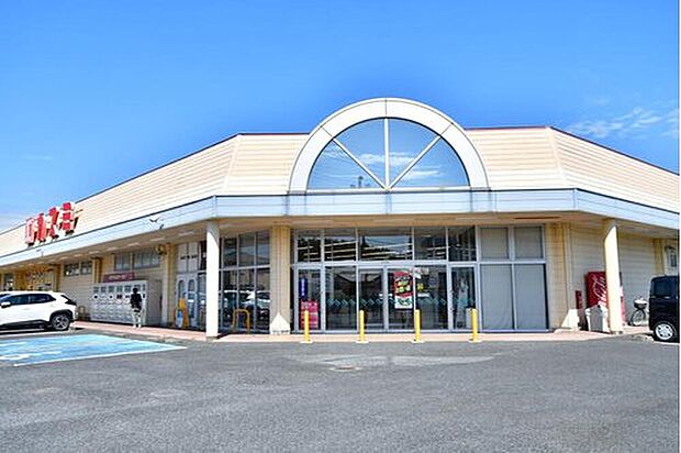 カスミ花崎店(約1,650m)