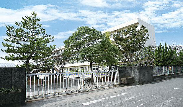 栄小学校(約700m)