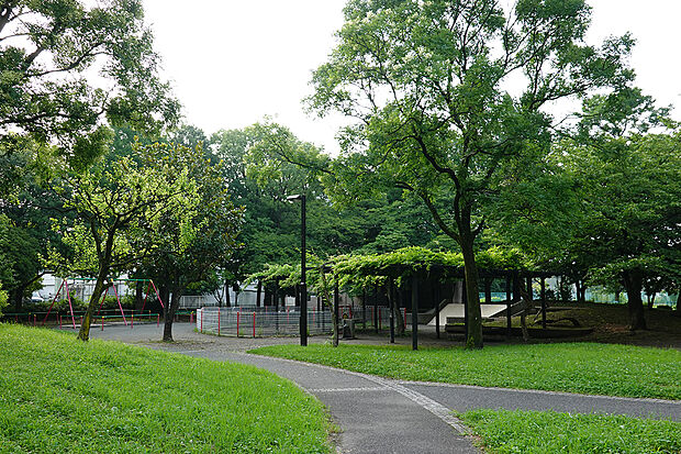 篠崎公園(24号地)