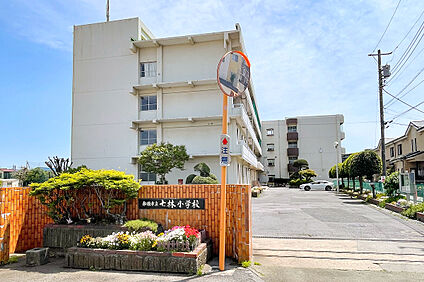 船橋市立七林小学校 507m(徒歩7分)
