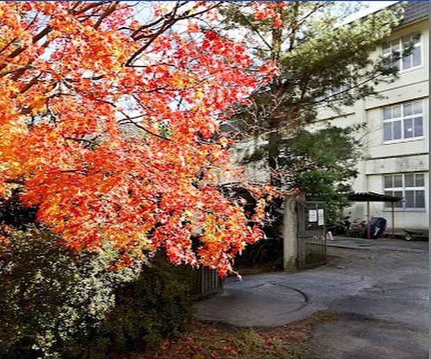 斑鳩中学校(約1,350m)