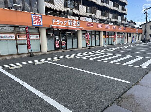 ドラッグ新生堂 田迎店