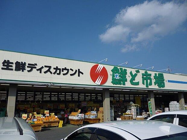 鮮ど市場 菊陽店