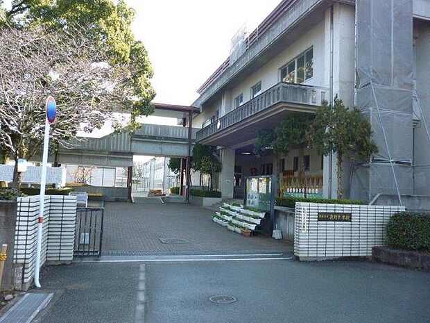 熊本市立東野中学校