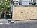 岡山県岡山市東区富士見町1丁目6-11：物件画像
