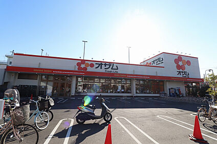 スーパーオザム保谷店 1100m