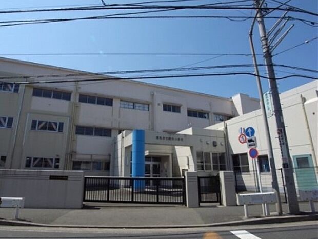 横浜市立境木小学校(約800m)