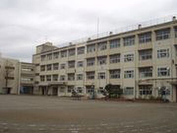 横浜市立常盤台小学校(約1,000m)