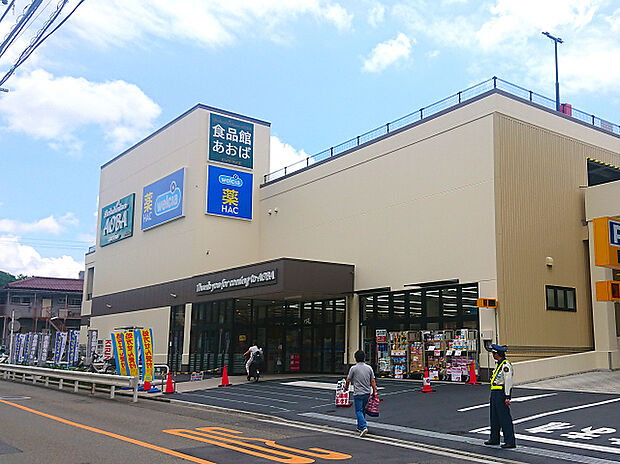 食品館あおば岡村店(約450m)