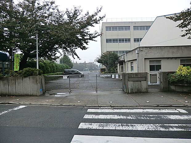横浜市立浦島小学校(約900m)