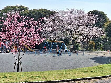 唐沢公園 400ｍ