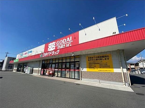 ゴダイドラッグ上野田店