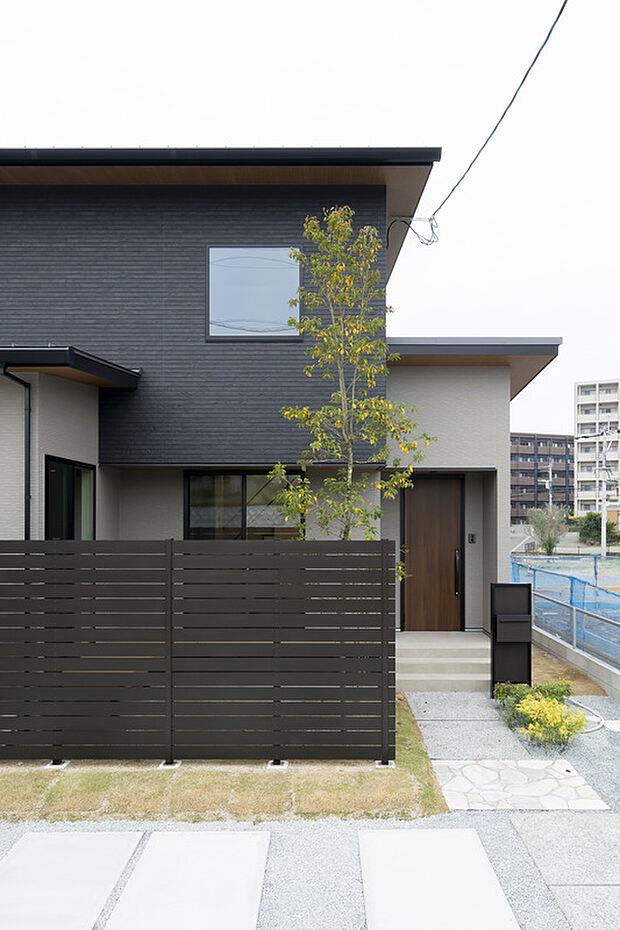 【ポーチ】シンボルツリーがお出迎え。