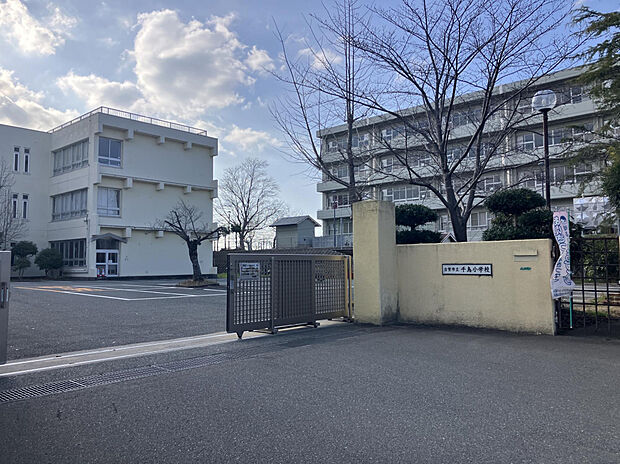 千鳥小学校（約500m）