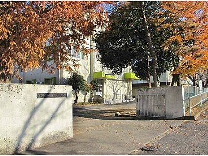 青葉小学校 510ｍ