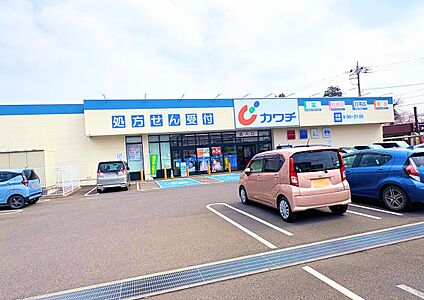 カワチ薬品　鶴田店 450ｍ(徒歩6分)