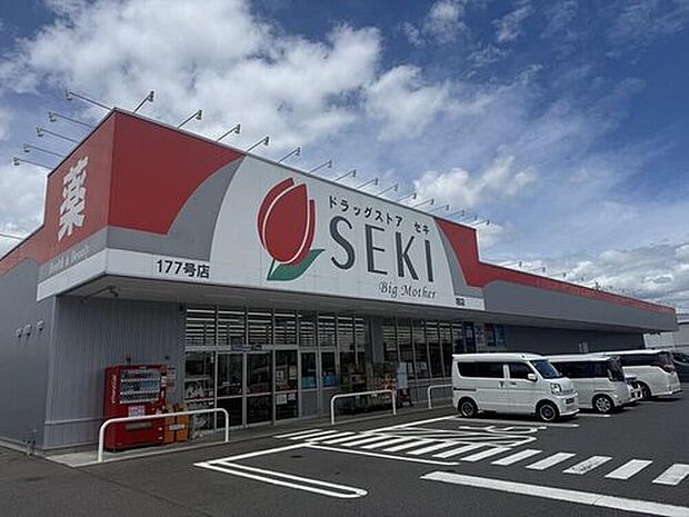 ドラッグストアセキ　境店