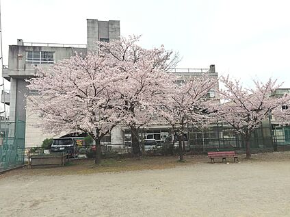北本市立東小学校 700m(徒歩　約9分)