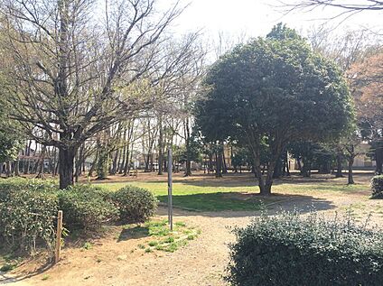 中丸緑地公園 800m(徒歩　10分)
