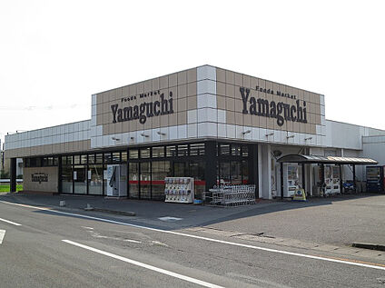 ヤマグチスーパー 毛野店 約790ｍ～800m(徒歩約10分)