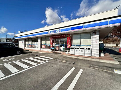 ローソン東松山バイパス店 約890m(徒歩約12分)