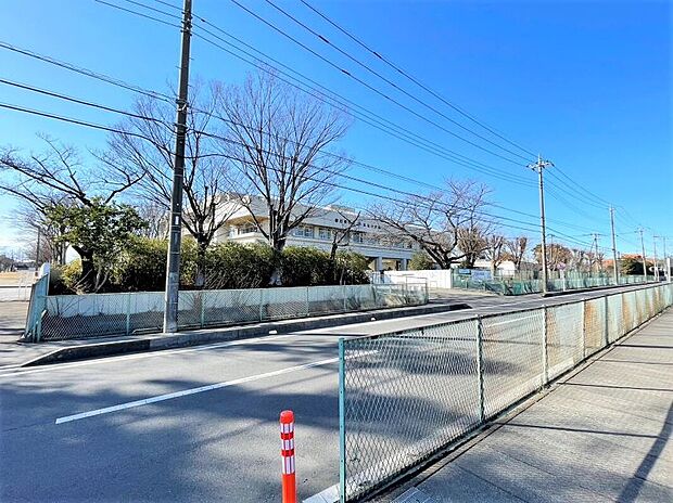 大増中学校（約750m）