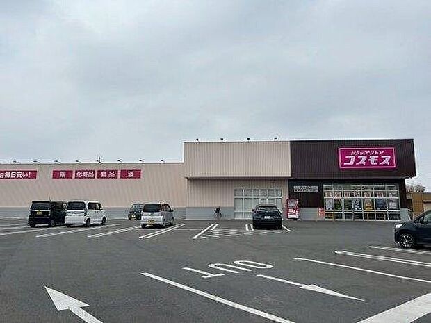 ドラッグストア コスモス 内ケ島店