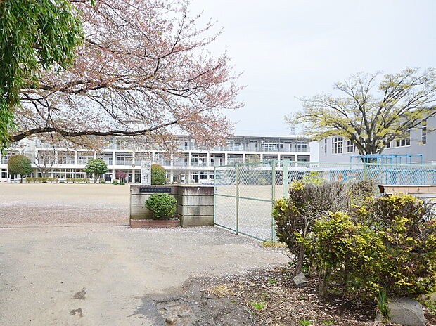 休泊小学校