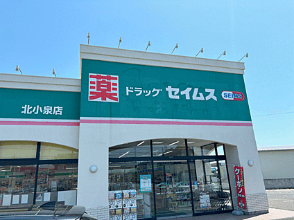  ドラッグセイムス 北小泉店 約1,160m(徒歩約15分)