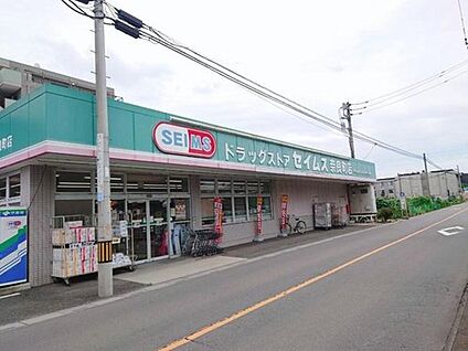 ドラッグセイムスさいたま奈良町店 約830m(徒歩11分)