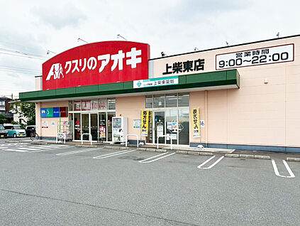 クスリのアオキ　上柴東店 約710ｍ(徒歩9分)