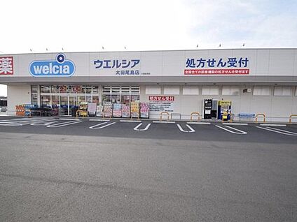 ウエルシア太田尾島店 約580m(徒歩約8分)