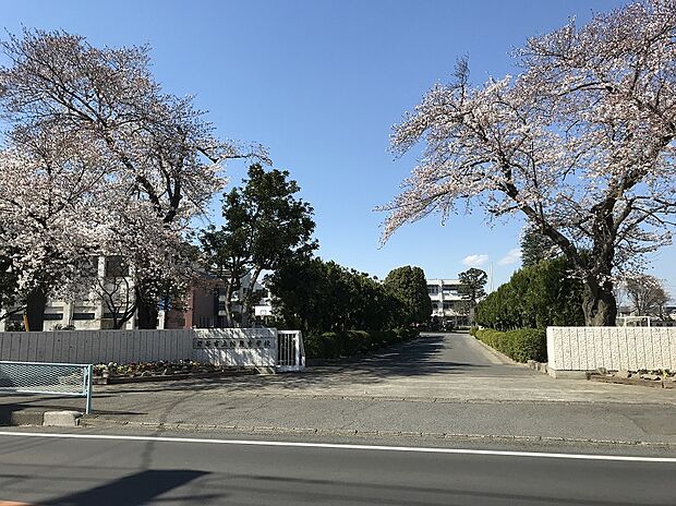 幡羅中学校