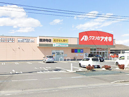 クスリのアオキ　国済寺店 約1130ｍ(徒歩15分)