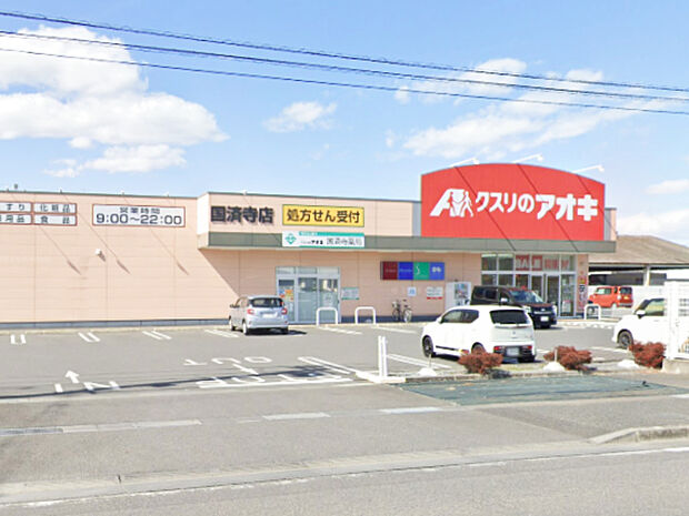 クスリのアオキ 国済寺店