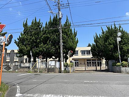 谷田部小学校 約700m