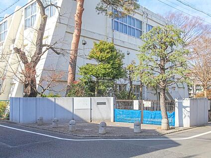 練馬区立開進第三中学校 650m(徒歩9分)