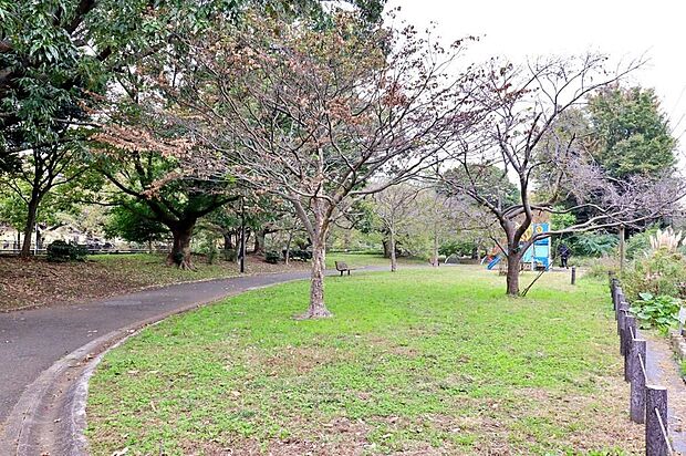 祖師谷公園（約120m）