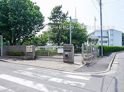 調布市立第七中学校 1200m(徒歩15分)