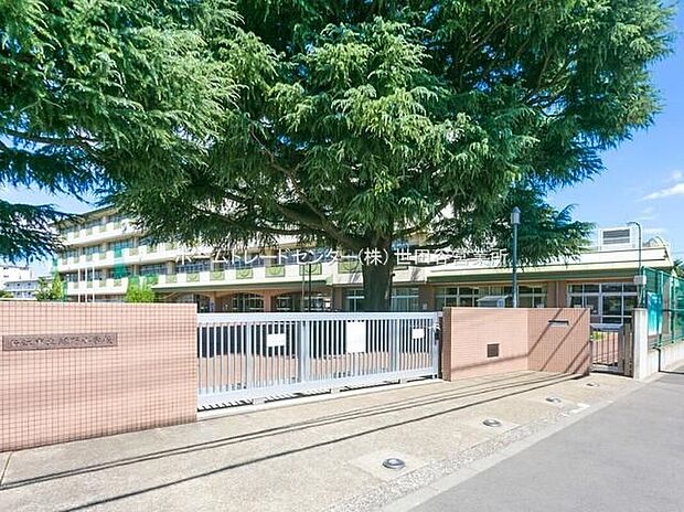 狛江市立緑野小学校(約1,100m)