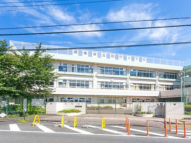 調布市立柏野小学校(約310m)