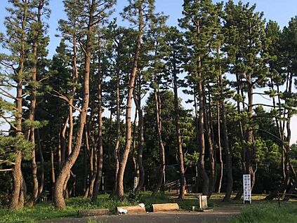 鵜の木松山公園 徒歩6分(450m )