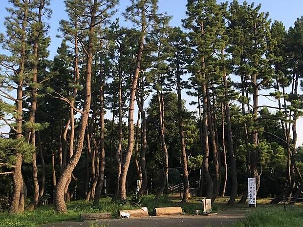 鵜の木松山公園(徒歩450分)