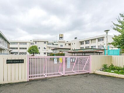 調布市立布田小学校 600m(徒歩8分)