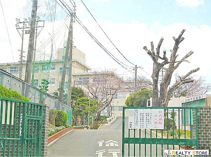 福岡市立花畑中学校 800m