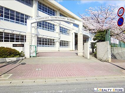 福岡市立柏原小学校 550m